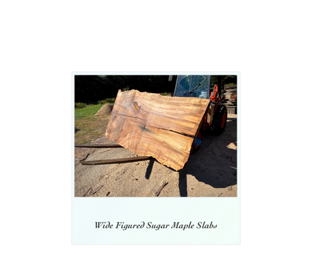 ￼   

Wide Figured Sugar Maple Slabs
