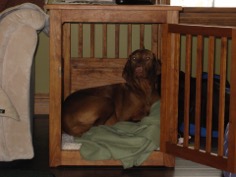 Customer Photo Custom End Table dog Crate 