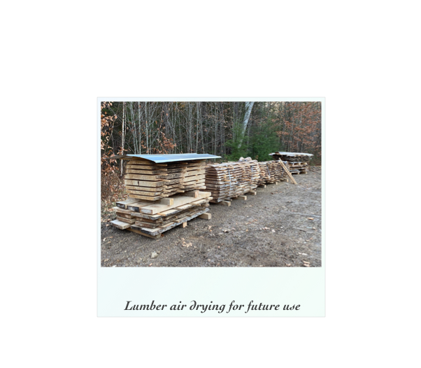 ￼

 Lumber air drying for future use